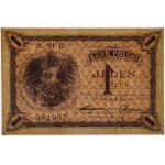 1 złoty 1919 - S.71 C - GDA 55 EPQ