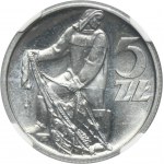 5 złotych 1958 Rybak - BAŁWANEK - NGC MS65