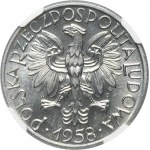 5 złotych 1958 Rybak - BAŁWANEK - NGC MS65