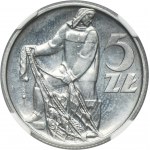 5 złotych 1958 Rybak - BAŁWANEK - NGC UNC DETAILS