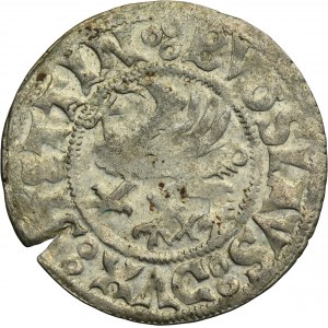Pommern, Duchy of Stettin, Boguslaw X, Schilling Stettin 1522