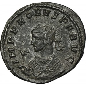 Roman Imperial, Probus, Antoninianus