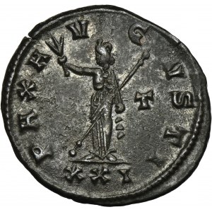 Roman Imperial, Probus, Antoninianus