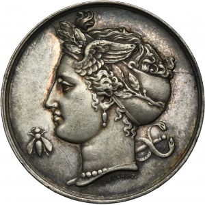 France, Token Society for the Promotion of National Industry