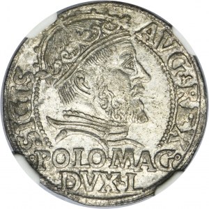 Sigismund II August, Groschen Vilnius 1546 - L/LITVA - NGC MS62