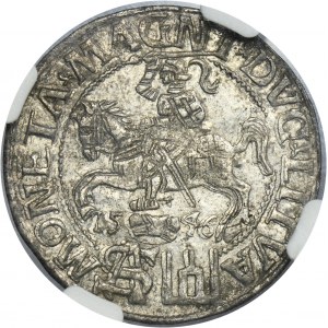 Sigismund II August, Groschen Vilnius 1546 - L/LITVA - NGC MS62