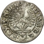 Sigismund III Vasa, 3 Polker Bromberg 1614 - RARE