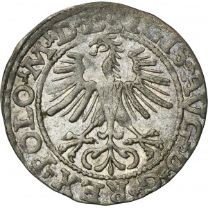 Sigismund II August, 1/2 Groschen Vilnius 1564 - L/LITVA