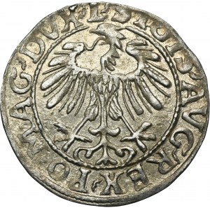 Sigismund II August, 1/2 Groschen Vilnius 1557 - L/LITV