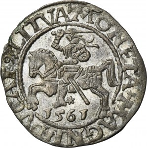 Sigismond II Auguste, demi-penny Vilnius 1561 - L/LITVA