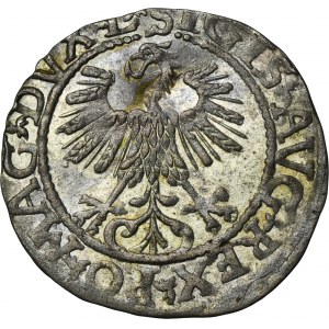 Sigismond II Auguste, demi-penny Vilnius 1561 - L/LITVA
