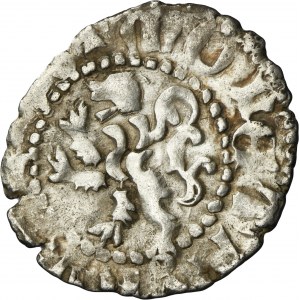 Louis I of Hungary, Kwartnik undated