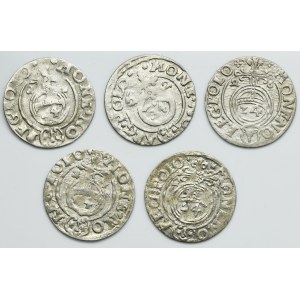 Set, Sigismund III Vasa, 3 Polker Bromberg (5 pcs.)
