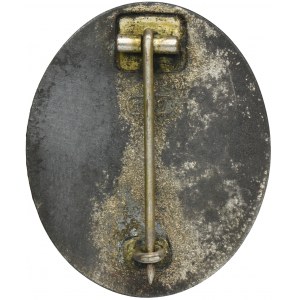 Third Reich, Silver Wound Badge