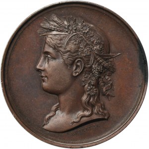 Italy, Medal Agricultural Exhibition Rome 1885