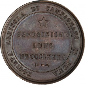 Italy, Medal Agricultural Exhibition Rome 1885