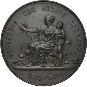 Medal 25 years of the Galician Pharmaceutical Society 1894 - RARE