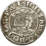 Sigismund I the Old, Groschen Danzig 1535 - PRV