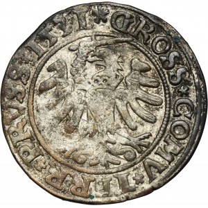 Sigismund I the Old, Groschen Thorn 1531 - PRVS/PRVSS