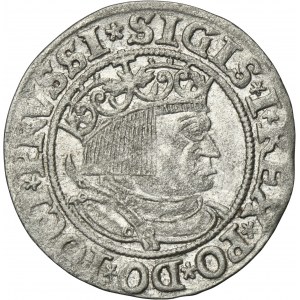 Sigismund I the Old, Groschen Thorn 1532 - PRVSSI/PRVSS