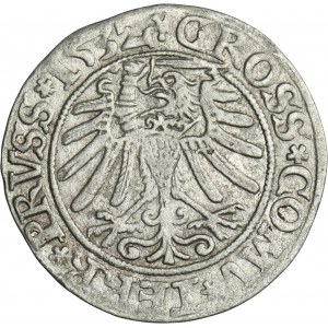 Sigismund I the Old, Groschen Thorn 1532 - PRVSSI/PRVSS