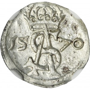 Sigismund II August, 2 Denarius Vilnius 1570 - NGC MS64