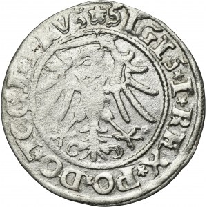 Sigismund I the Old, Groschen Elbing 1535 - PRVS