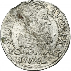 Sigismund II August, Groschen Tykocin 1566 - L/LIT
