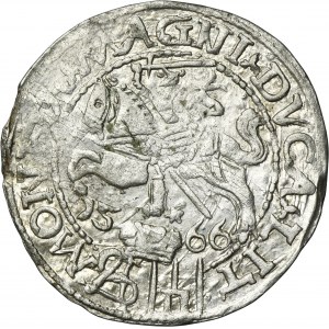 Sigismund II August, Groschen Tykocin 1566 - L/LIT
