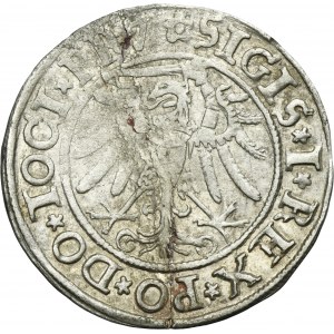 Sigismund I the Old, Groschen ELbing 1534 - PRV