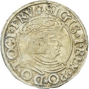 Žigmund I. Starý, Grosz Gdańsk 1534 - PRV