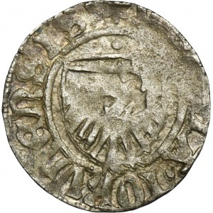 Casimir IV Jagiellonian, Szeląg Toruń sans date