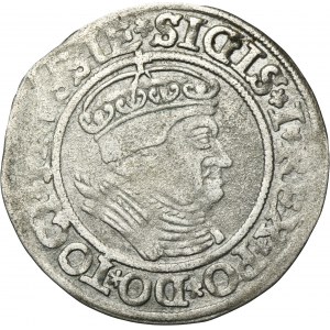 Sigismund I the Old, Groschen Thorn 1534 - PRVSSIE/PRVSSIE