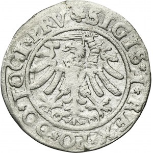 Sigismund I the Old, Groschen ELbing 1534 - PRV