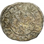 Sigismund III Vasa, Schilling Fraustadt 1597 - RARE, ex. Marzęta