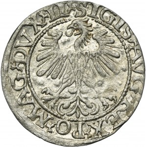 Sigismond II Auguste, demi-penny Vilnius 1560 - LI/LITV