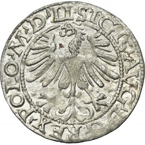 Sigismond II Auguste, demi-penny Vilnius 1565 - LI/LITV