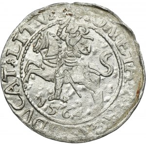 Sigismund II August, 1/2 Groschen Vilnius 1564 - L/LITVA