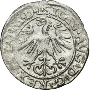 Sigismund II August, 1/2 Groschen Vilnius 1564 - L/LITVA