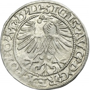 Sigismund II August, 1/2 Groschen Vilnius 1563 - LI/LITVA