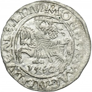 Sigismund II August, 1/2 Groschen Vilnius 1560 - L/LITV