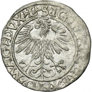Sigismund II August, 1/2 Groschen Vilnius 1560 - L/LITV