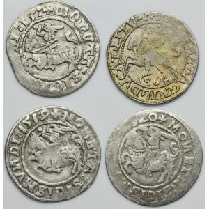 Set, Sigismund I the Old and Sigismund II August, 1/2 Groschen Vilnius (4 pcs.)