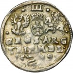 Sigismund III Vasa, 3 Groschen Vilnius 1599 - VERY RARE, SGI, Swan
