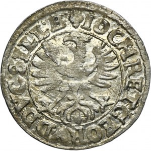 Silesia, Duchy of Liegnitz-Brieg-Wohlau, Johann Christian and Georg Rudolf, 3 Kreuzer Reichenstein 1618 HR