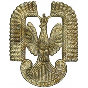 PSZnZ, the Eagle of the Polish Air Force