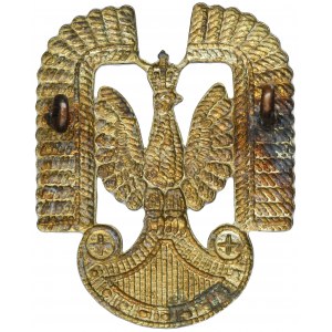 PSZnZ, the Eagle of the Polish Air Force