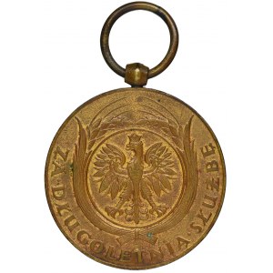 Bronze Medal for Long Service