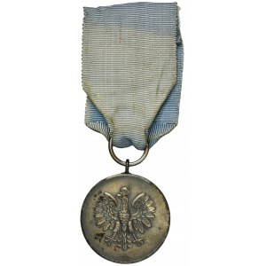 Silver Medal for Merit for the Polish Cause