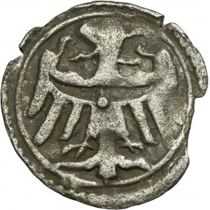 Silesia, Duchy of Liegnitz-Brieg, Ludwig II or Elizabeth von Brandenburg, Heller Liegnitz undated